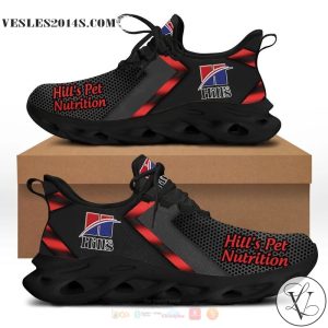 Hill’s Pet Nutrition Clunky Max Soul shoes